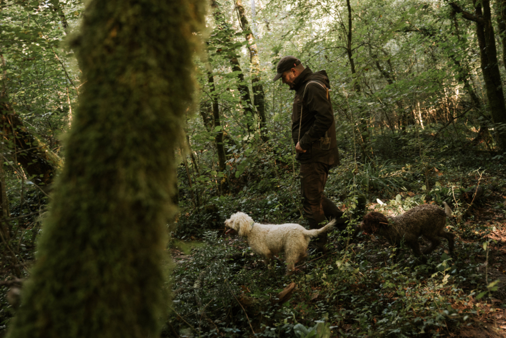 TRUFFLE & WINE EXPERIENCE